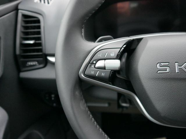 Skoda Karoq Selection 1.5 TSI DSG DSG*AHK-SCHWENKBAR*SMARTLINK*TEMPOMAT*PDC-HINTEN*LENKRADHEIZUNG* 