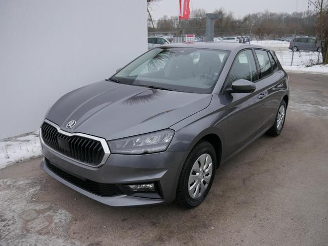 Skoda Fabia - Selection 1.0 TSI DSG*NAVI-&Uuml;BER-SMARTLINK*LED*PDC-HI*SHZ*DAB*KLIMA