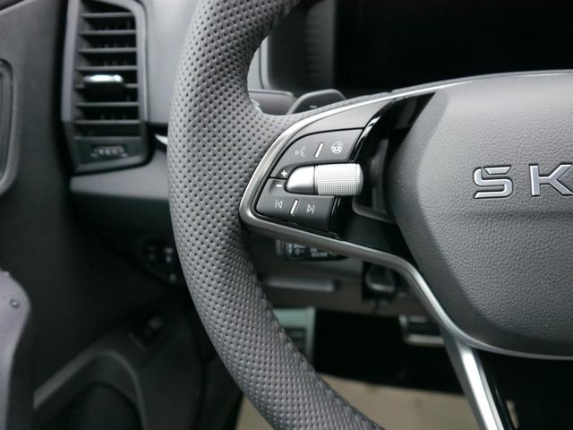 Skoda Karoq Sportline 2.0 TSI 4x4 DSG DSG*KESSY*TEMPOMAT*PDC-HINTEN*SMARTLINK*LED* 