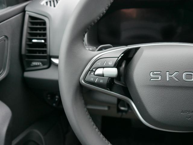 Skoda Karoq Selection 2.0 TDI DSG 4x4*AHK*PDC-HI*LED*SHZ*SMARTLINK*TEMPOMAT 