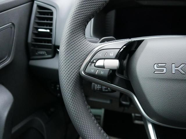 Skoda Karoq Sportline 2.0 TSI 4x4 DSG*AHK*ACC*PDC-HI*LED*SHZ*TEMPOMAT*SMARTLINK 