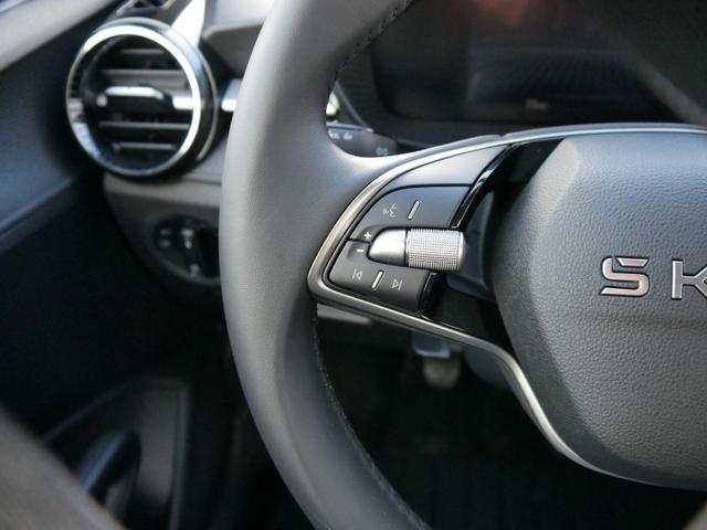 Skoda Fabia Selection 1.0 TSI *NAVI-&Uuml;BER-SMARTLINK*PDC-HI*LED*SHZ*KLIMA*RADIO 