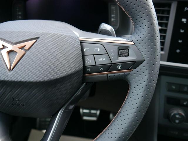 Cupra Ateca 2,0 TSI DSG 4x4*AHK-SCHWENKBAR*NAVI*PDC*KAMERA*ACC*SHZ*LED*TEMPOMAT*19-ZOLL 