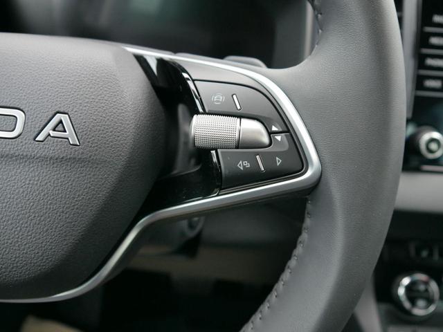 Skoda Karoq Selection 2.0 TDI DSG 4x4 4x4*AHK*TEMPOMAT*SMARTLINK*KLIMAAUTOMATIK*SHZ*LED 