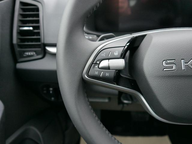 Skoda Karoq Selection 2.0 TDI DSG 4x4 4x4*AHK*TEMPOMAT*SMARTLINK*KLIMAAUTOMATIK*SHZ*LED 