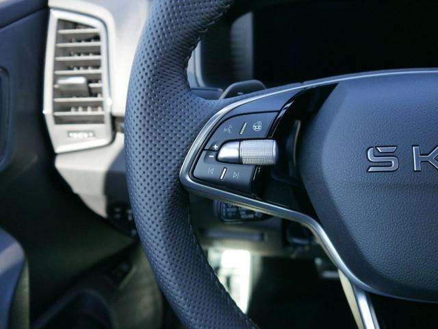 Skoda Karoq Sportline 2.0 TSI 4x4 DSG DSG*ACC*AHK-SCHWENKBAR*PDC-HINTEN*KESSY*LENKRADHEIZUNG* 