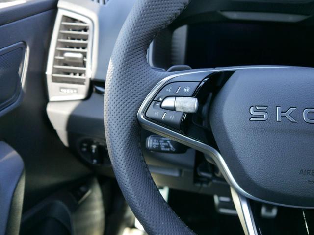 Skoda Karoq Sportline 2.0 TSI 4x4 DSG DSG*ACC*AHK-SCHWENKBAR*PDC-HINTEN*KESSY*LENKRADHEIZUNG* 