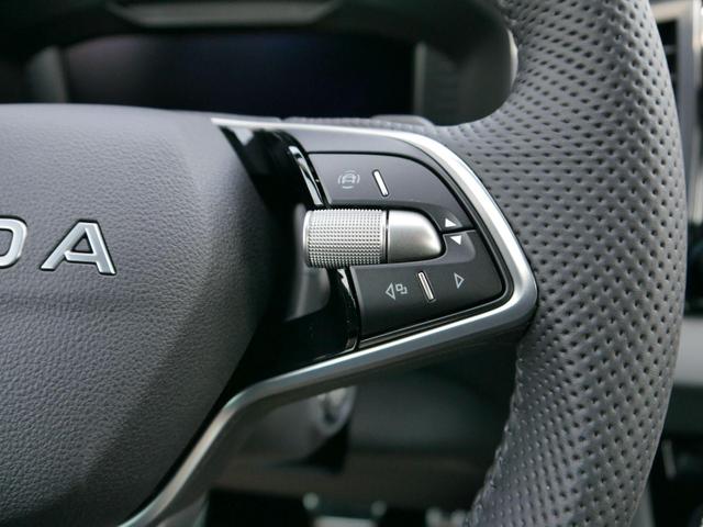 Skoda Karoq Sportline 2.0 TDI 4x4 DSG*AHK-SCHWENKBAR*ACC*PDC-HI*LED*SHZ*TEMPOMAT*KLIMA 