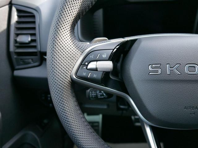 Karoq Sportline 2.0 TDI 4x4 DSG*AHK-SCHWENKBAR*ACC*PDC-HI*LED*SHZ*TEMPOMAT*KLIMA 