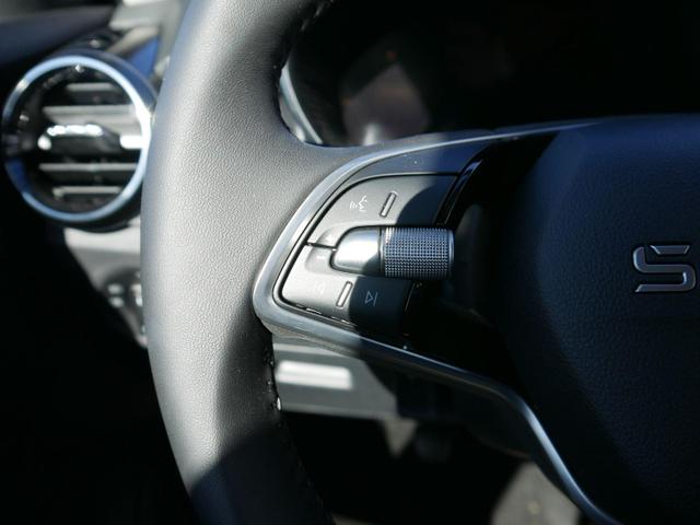 Skoda Fabia Selection 1.0 TSI*PDC-HINTEN*SMARTLINK*KEYLESS-GO*LED*BLUETOOTH*WINTERPAKET* 