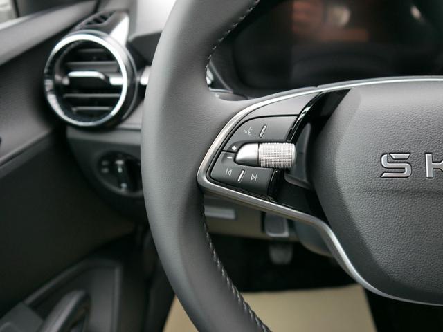 Skoda Fabia Selection 1.0 TSI *LED*PDC-HI*SMARTLINK*SHZ*BLUETOOTH*FRONT-ASSIST 