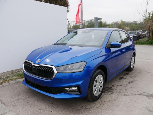 Skoda Fabia - Selection 1.0 TSI DSG*NAVI-&Uuml;BER-SMARTLINK*LED*PDC-HI*SHZ*DAB*KLIMA