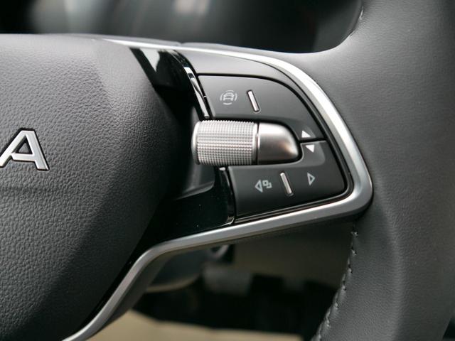 Skoda Fabia Selection 1.0 TSI DSG*NAVI-&Uuml;BER-SMARTLINK*LED*PDC-HI*SHZ*DAB*KLIMA 