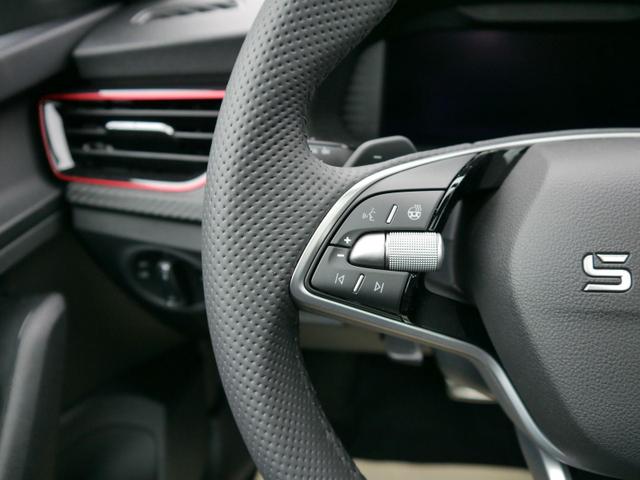 Skoda Kamiq Monte Carlo 1,5 TSI DSG*AHK-SCHWENKBAR*PDC*MATRIX-LED*KAMERA*SHZ*17-ZOLL 