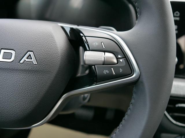 Skoda Kamiq Edition 130 Jahre 1,0 TSI DSG*AHK-SCHWENKBAR*PDC-HI*KAMERA*LED*SHZ*TEMPOMAT 