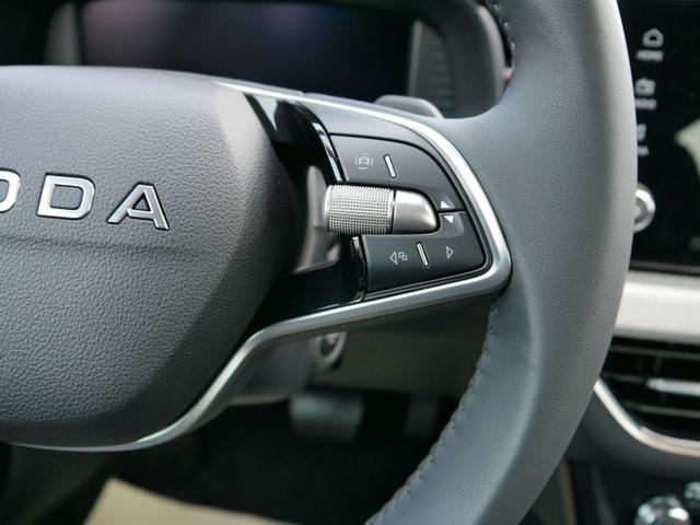 Skoda Kamiq 130 Jahre Premium Edition 1,5 TSI DSG*AHK-SCHWENKBAR*PDC*LED*KAMERA*SHZ*TEMPOMAT 