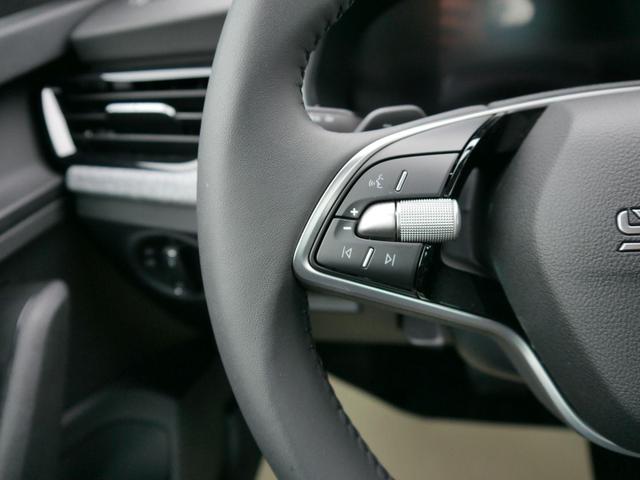 Skoda Kamiq Selection 1.0 TSI DSG*AHK-SCHWENKBAR*TEMPOMAT*PDC-HINTEN*KEYLESS-GO*SHZ* 