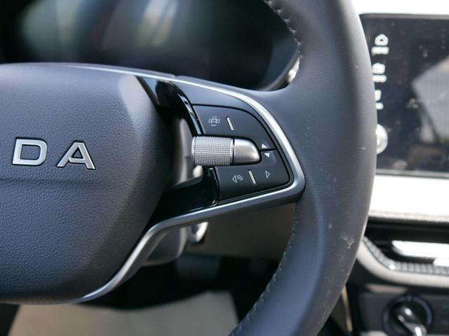 Skoda Fabia Selection 1.0 TSI DSG*NAVI-&Uuml;BER-SMARTLINK*LED*PDC-HI*SHZ*DAB*KLIMA 