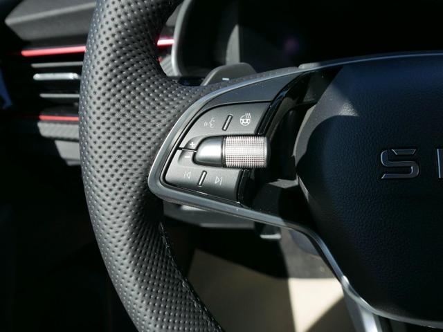 Skoda Kamiq Monte Carlo 1,5 TSI DSG *AHK-SCHWENKBAR*PDC-HINTEN*KAMERA*SHZ*KESSY*LENKRADHEIZUNG* 