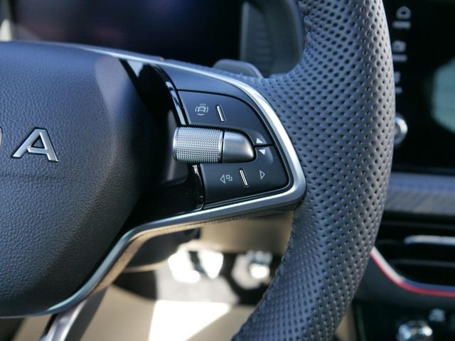 Skoda Kamiq Monte Carlo 1,5 TSI DSG *AHK-SCHWENKBAR*PDC-HINTEN*KAMERA*SHZ*KESSY*LENKRADHEIZUNG* 