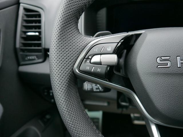 Skoda Karoq Sportline 2.0 TSI 4x4 DSG*AHK*ACC*PDC-HI*LED*SHZ*TEMPOMAT*SMARTLINK 