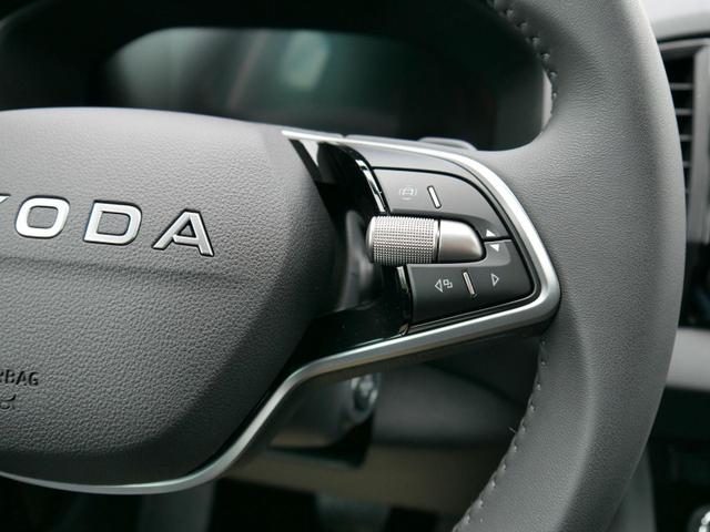 Skoda Karoq Selection 2.0 TDI DSG 4x4 4x4*AHK*TEMPOMAT*SMARTLINK*KLIMAAUTOMATIK*SHZ*LED 