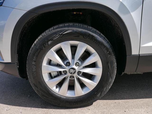 Skoda Karoq Selection 2.0 TDI DSG 4x4*AHK*PDC-HI*LED*SHZ*SMARTLINK*TEMPOMAT 