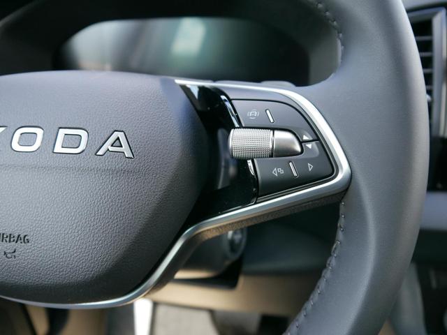 Skoda Karoq Selection 2.0 TDI DSG 4x4*AHK*PDC-HI*LED*SHZ*SMARTLINK*TEMPOMAT 