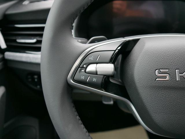 Skoda Kamiq Edition 130 Jahre 1,0 TSI DSG*AHK-SCHWENKBAR*PDC-HI*KAMERA*LED*SHZ*TEMPOMAT 