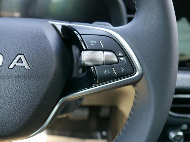 Skoda Kamiq Selection 1.0 TSI DSG*PDC-HINTEN*TEMPOMAT*SMARTLINK*SHZ*LED*KLIMAAUTOMATIK* 