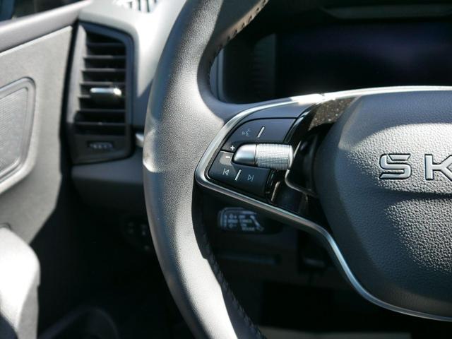 Skoda Karoq Selection 1.5 TSI DSG*ACC*PDC*KAMERA*TEMPOMAT*LED*SMARTLINK*KLIMA*RADIO*17-ZOLL 