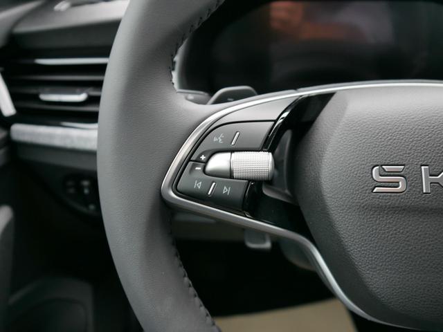 Skoda Kamiq Edition 130 Jahre 1,0 TSI DSG*AHK-SCHWENKBAR*PDC-HI*KAMERA*LED*SHZ*TEMPOMAT 