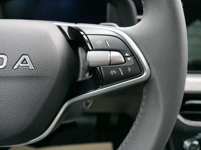 Skoda Kamiq Edition 130 Jahre Premium 1,5 TSI DSG*AHK-SCHWENKBAR*PDC*LED*KAMERA*SHZ*TEMPOMAT 