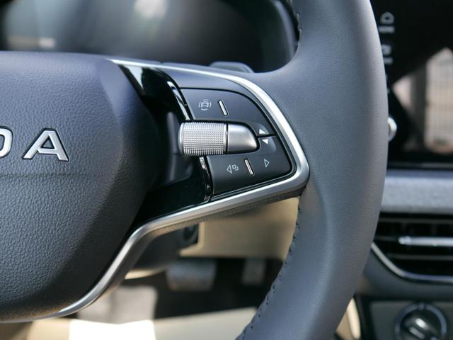 Skoda Kamiq Edition 130 Jahre 1,0 TSI DSG*AHK-SCHWENKBAR*PDC-HI*KAMERA*LED*SHZ*TEMPOMAT 