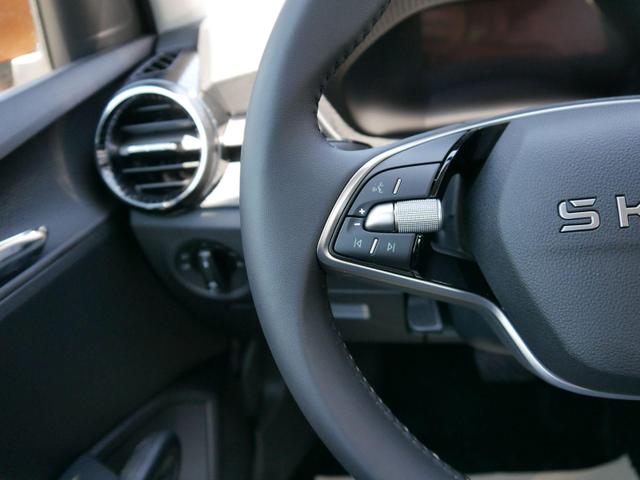 Fabia Selection 1.0 TSI DSG*NAVI-&Uuml;BER-SMARTLINK*LED*PDC-HI*SHZ*DAB*KLIMA 