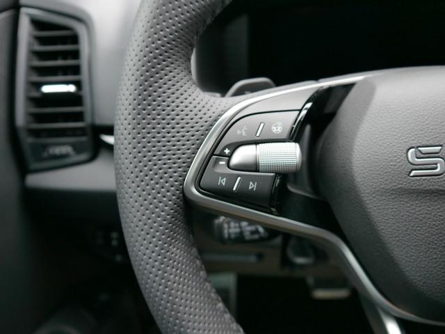 Skoda Karoq Sportline 2.0 TSI 4x4 DSG DSG*ACC*AHK-SCHWENKBAR*PDC-HINTEN*KESSY*LENKRADHEIZUNG* 