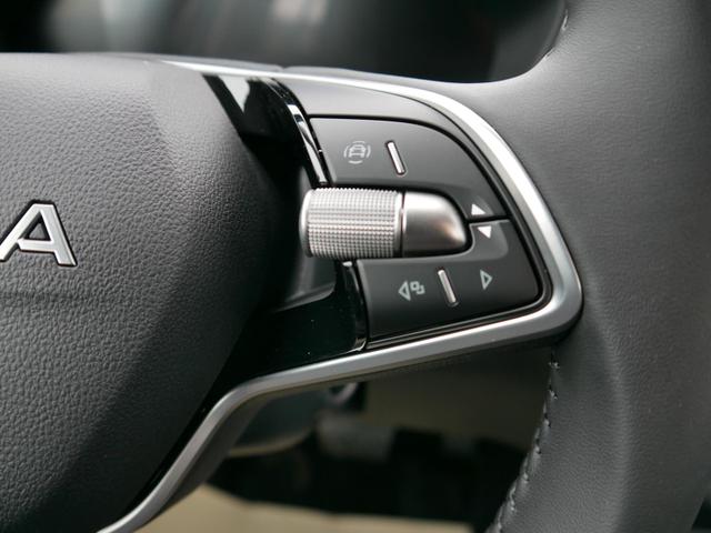 Skoda Fabia Selection 1.0 TSI DSG*NAVI-&Uuml;BER-SMARTLINK*LED*PDC-HI*SHZ*DAB*KLIMA 