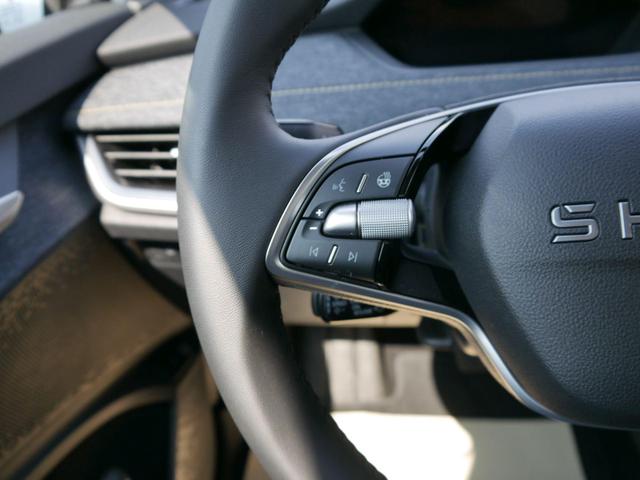Skoda Elroq 60*ACC*PDC*LED*SHZ*KAMERA*TEMPOMAT*KLIMA*SMARTLINK*EL-HECKKLAPPE*19-ZOLL 