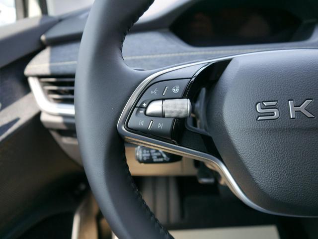 Skoda Elroq 60*ACC*PDC*LED*SHZ*KAMERA*TEMPOMAT*KLIMA*SMARTLINK*EL-HECKKLAPPE*19-ZOLL 