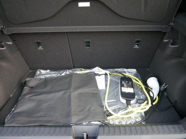 Raval EDITION Endurance 52 kWh, Edge*SMARTLINK*ACC*PDC-KAMERA*LED*SHZ*TEMPOMAT*18-ZOLL 