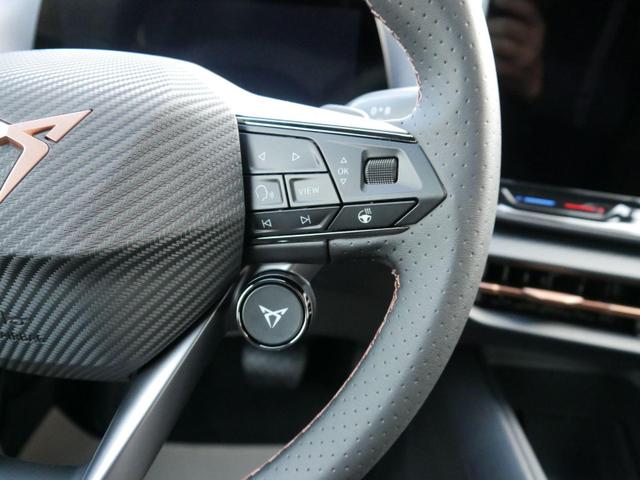 Raval EDITION Endurance 52 kWh, Edge*SMARTLINK*ACC*PDC-KAMERA*LED*SHZ*TEMPOMAT*18-ZOLL 