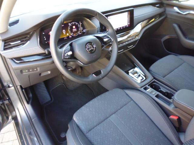 Skoda Octavia Combi Style 4x4 mit AHZV 