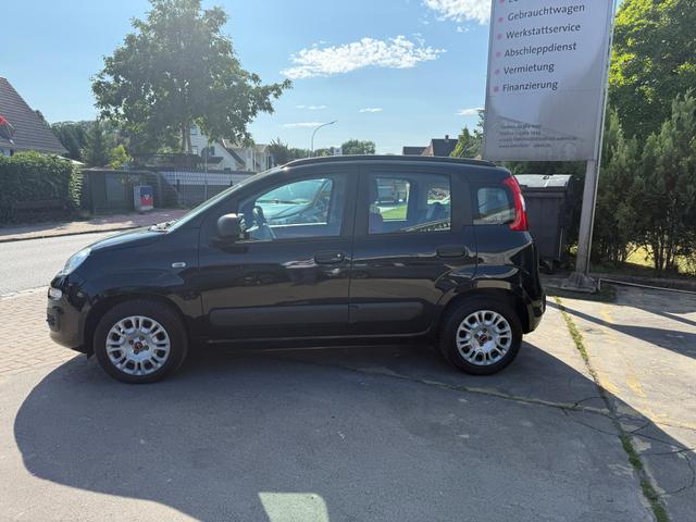 Fiat Panda 1.2 "My Panda" Klima-RD/CD/Blue&Me-elektr. Fensterheber-Bordcomputer-Ganzjahresreifen 