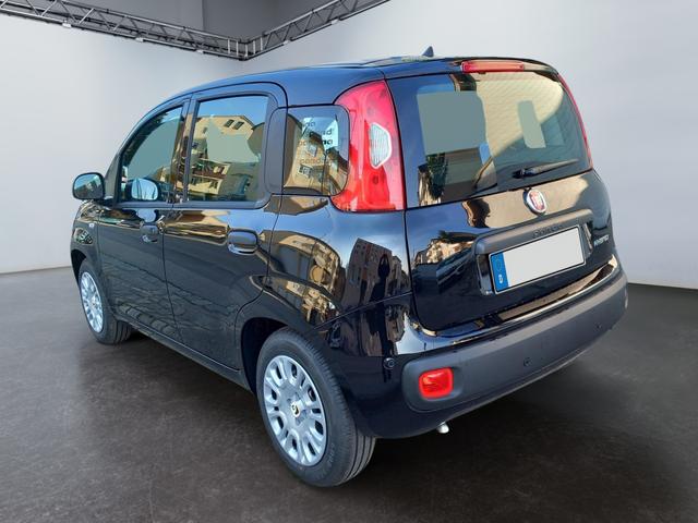 Fiat Panda - 1.0 Pandina Mild Hybrid 52 KW ( 71 PS) 6-Gang Klima digital Cockpit