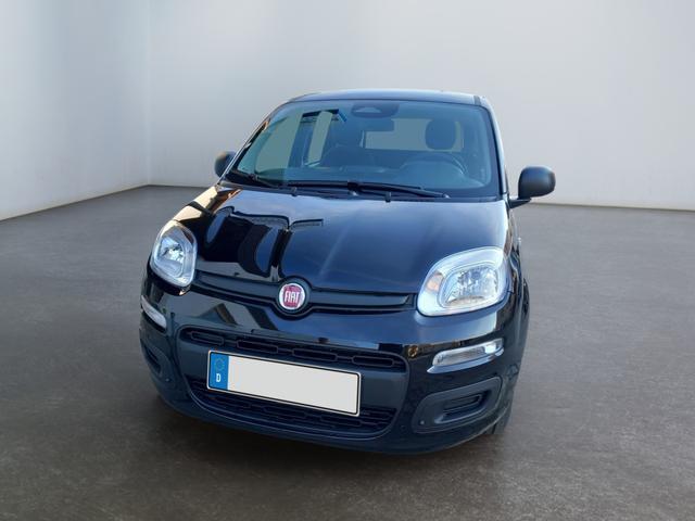 Fiat Panda Pandina