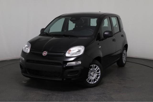Fiat Panda - Pandina Icon 1.0 Mild-Hybrid (65PS) 6-Gang Schaltgetriebe