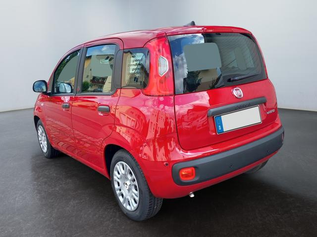 Fiat Panda - 1.0 Pandina Mild Hybrid 6-Gang Klima Radio digital Cockpit