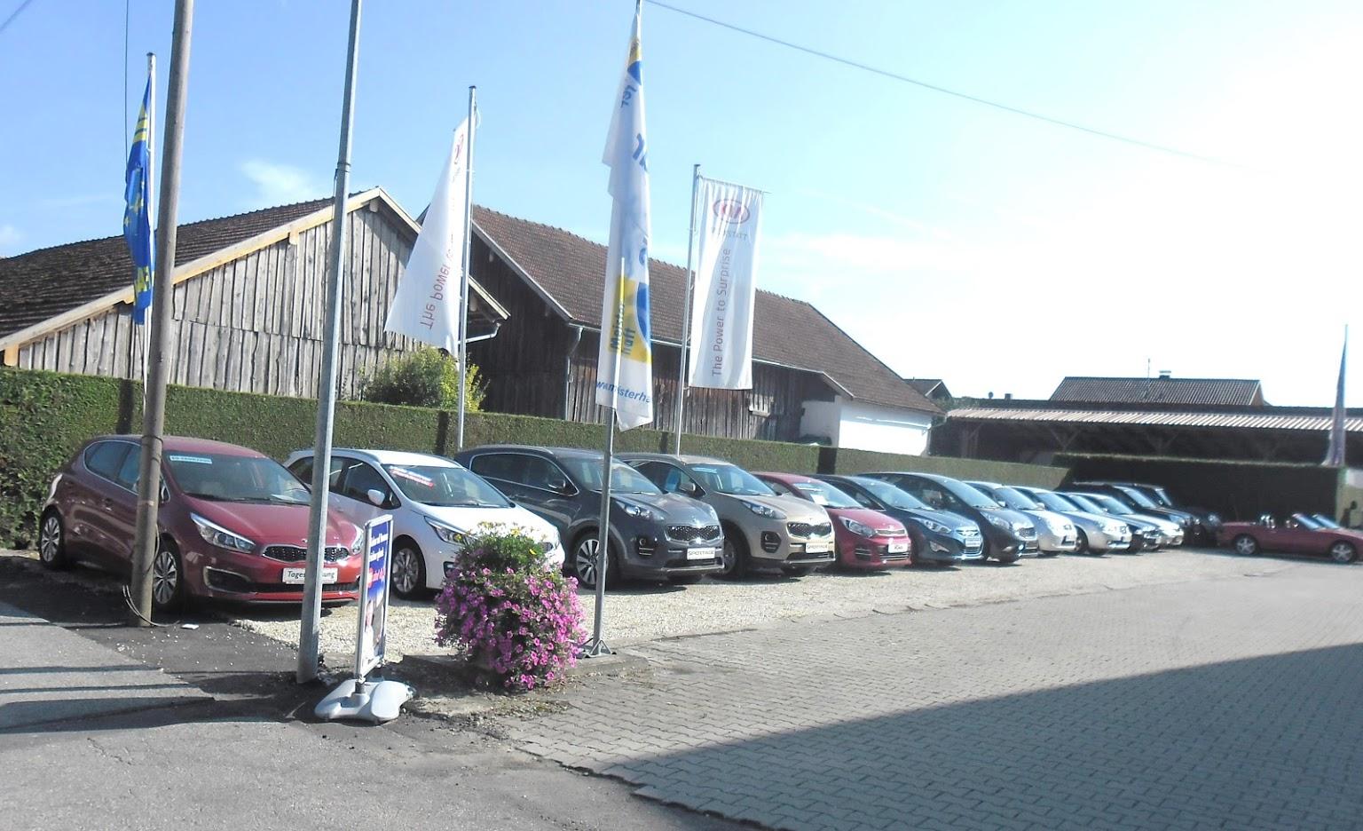 Automobile Emminger