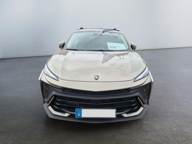 DFM / DFM Forthing 5 (Facelift) / Grau / / / 