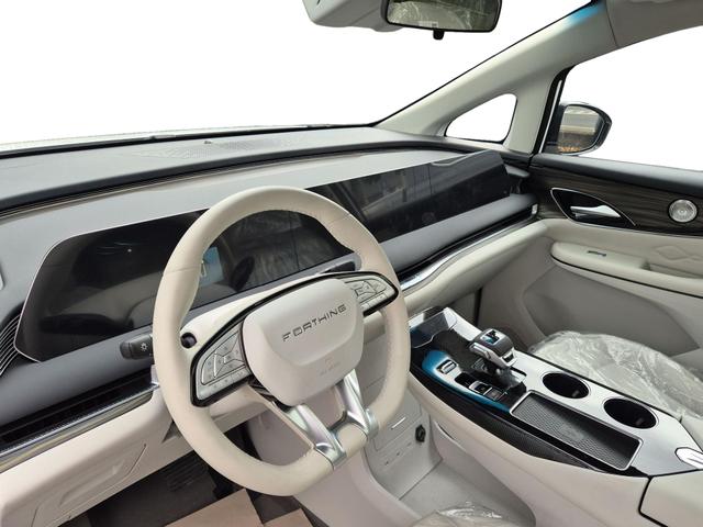 DFM / DFM Forthing 9 / Schwarz / / / 